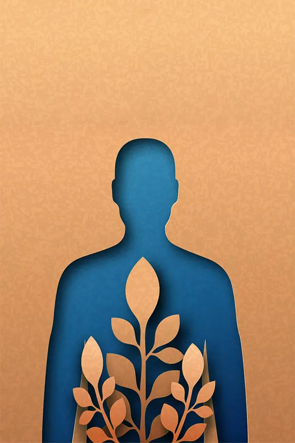 Functional-Medicine-Treatment A human body shape cut out of cardboard with blue paper underneath and cardboard leaves on top, symbolizing functional medicine treatment from Tanya Zboril, NP of TBT Medical in Kitchener-Waterloo.
