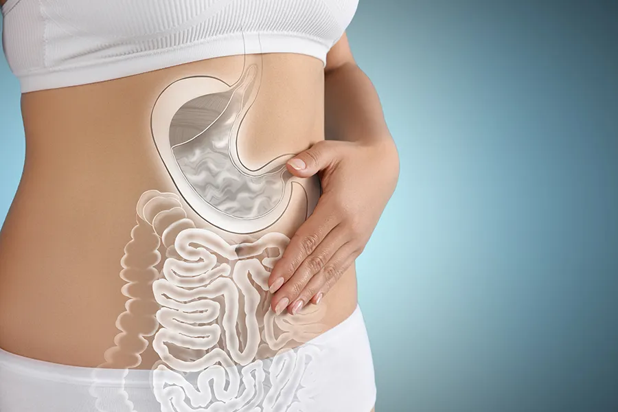 Gut-Health-Doctor Close up of the midriff of a woman with white underwear and an illustration of the digestive system superimposed over the image. Get help for digestive issues and gut health from Tanya Zboril, NP of TBT Medical in Kitchener-Waterloo.